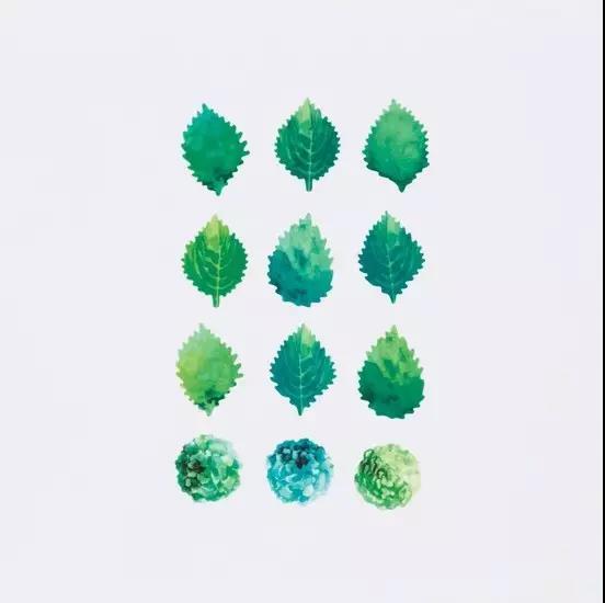 樹葉膠帶設(shè)計
